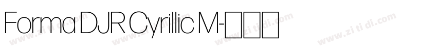 Forma DJR Cyrillic M字体转换